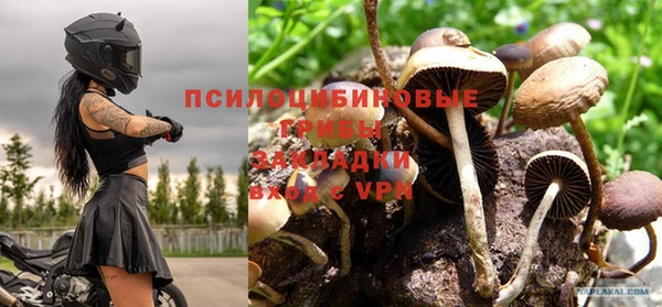 spice Алексин