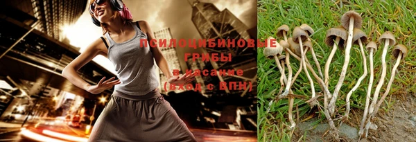 spice Алексин