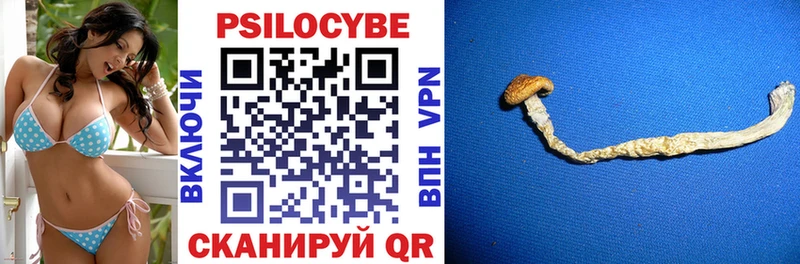 Купить закладки Тихвин Галлюциногенные грибы MAGIC MUSHROOMS