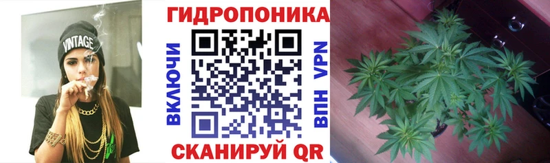 Марихуана ГИДРОПОН  Купить закладки  Тихвин 